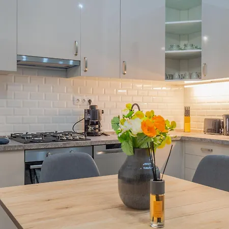 Efad Lux 3 Downtown 公寓 布达佩斯